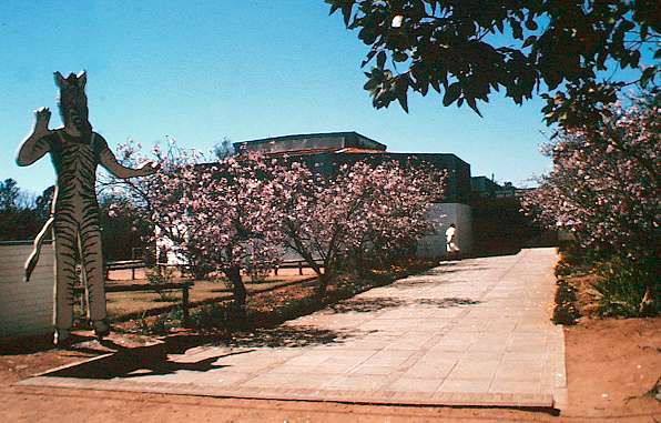 Botswana National Museum