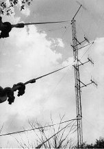 30m mast in the grounds of Radio Botswana