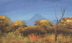 Scenery round Gaborone