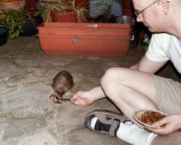 Spike eats from spoon