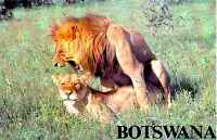 Radio Botswana QSL card